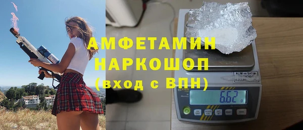 прущие грибы Белокуриха