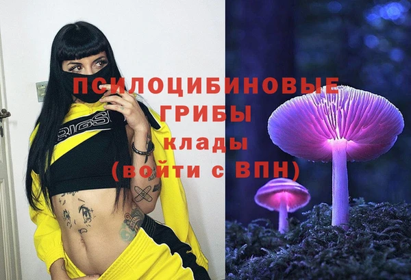 дурь Белоозёрский