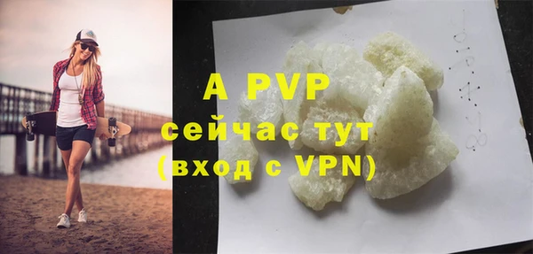 прущие грибы Белокуриха