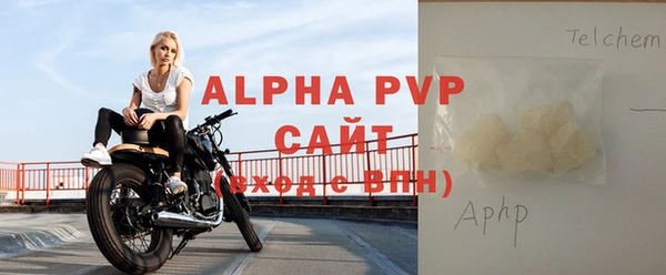 прущие грибы Белокуриха
