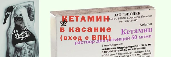 прущие грибы Белокуриха
