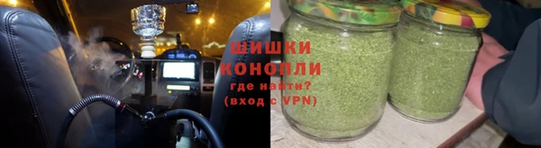 прущие грибы Белокуриха