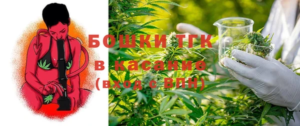 прущие грибы Белокуриха