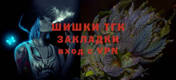 прущие грибы Белокуриха