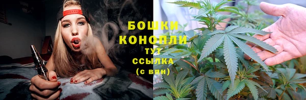 дурь Белоозёрский