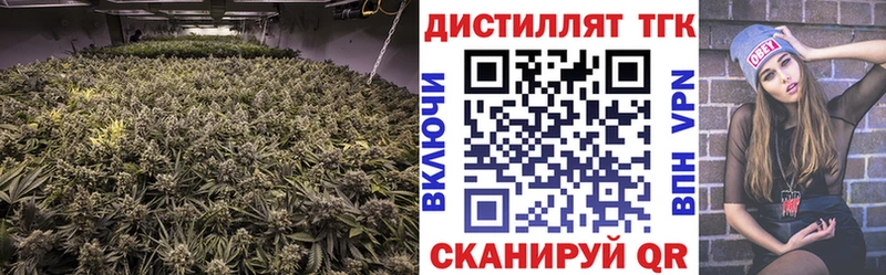 мега ссылки  Кириллов  Дистиллят ТГК THC oil 
